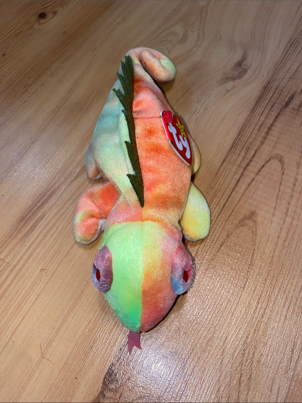 Ty Rainbow Chameleon Plush - Green, Orange, Yellow, Pink, Purple